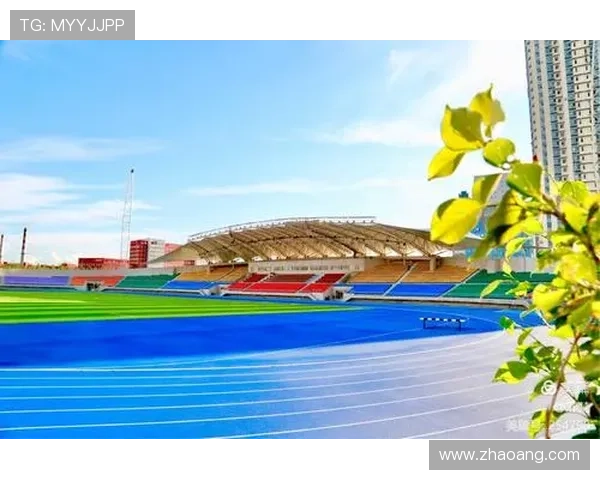 聚焦世界田径赛事劲旅崛起与荣耀征程全景解析实力版图与未来挑战 - 副本 (6) - 副本